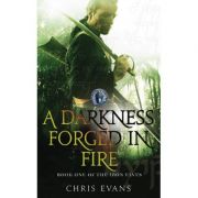 A Darkness Forged in Fire ( IRON ELVES no. 1 )